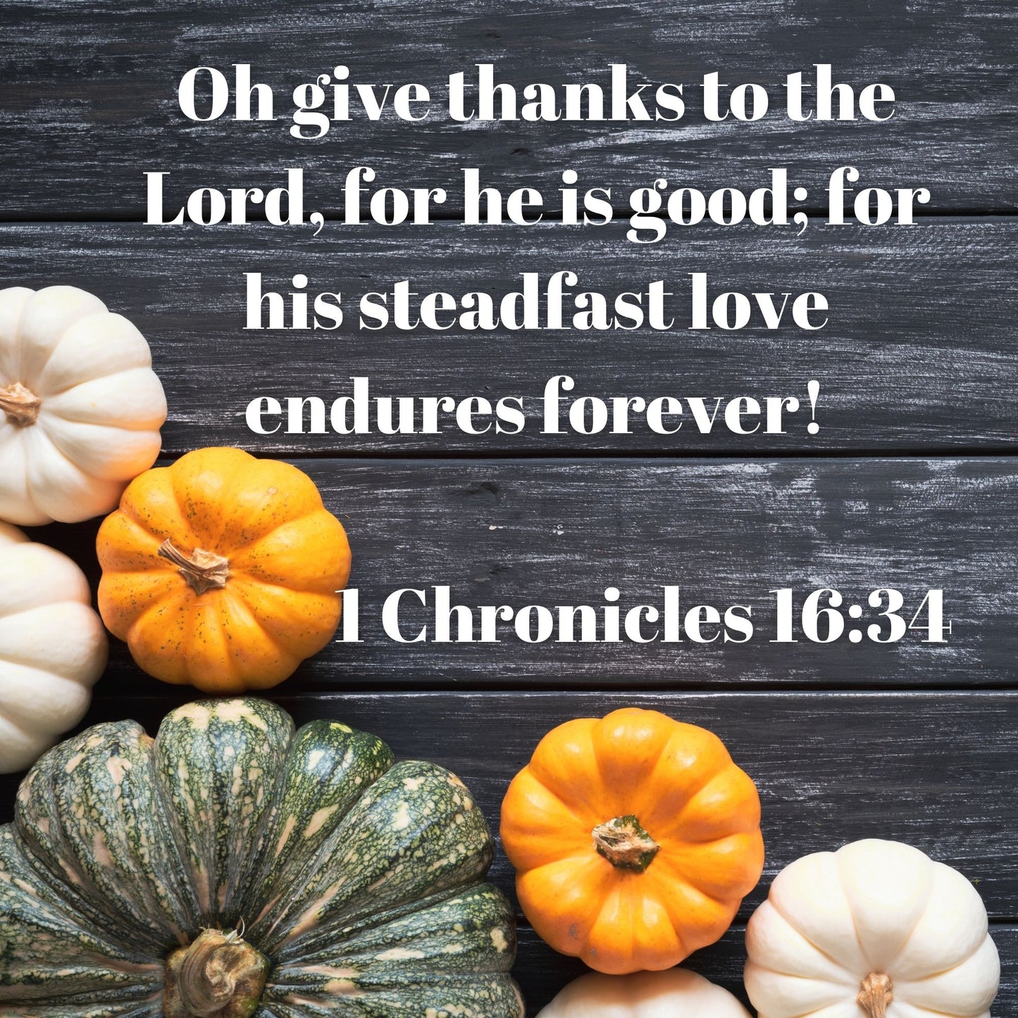 Thankful Still: 4-Week Sunday School Curriculum (download only)