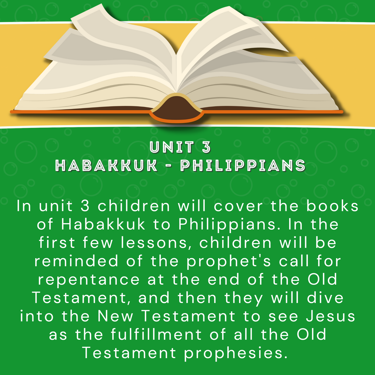 The B-I-B-L-E : Teaching Through the Bible in a Year - Lessons on each book of the Bible for kids 5-11 (download only )